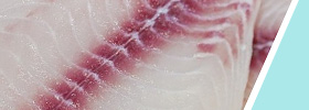 File de peixe