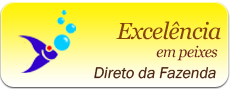 Excelencia em Peixe